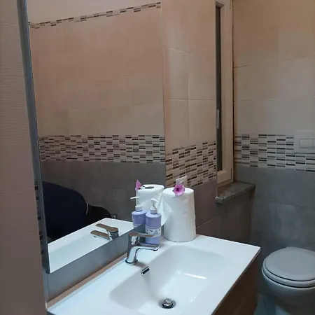 Sun Flower Blu Bay Montauro