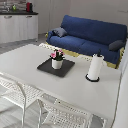 Sun Flower Blu Bay Montauro