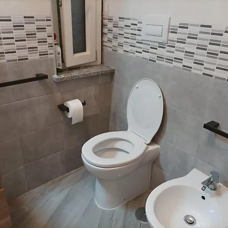 Sun Flower Blu Bay * Montauro