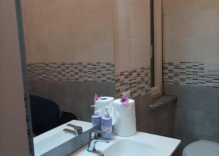 Sun Flower Blu Bay Montauro